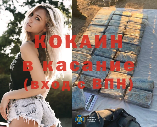 шишки Баксан