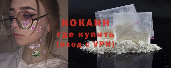 шишки Баксан